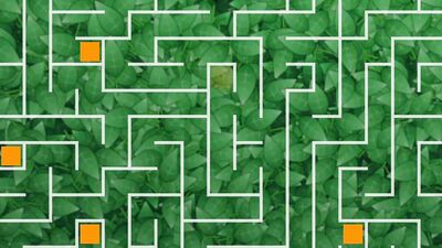Josh and Sam - The Maze